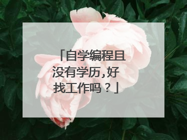 自学编程且没有学历,好找工作吗?