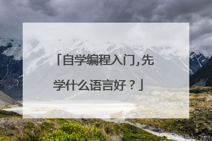 自学编程入门,先学什么语言好?