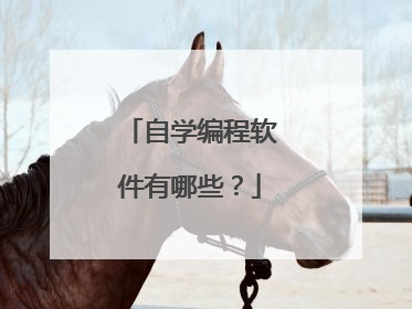 自学编程软件有哪些？