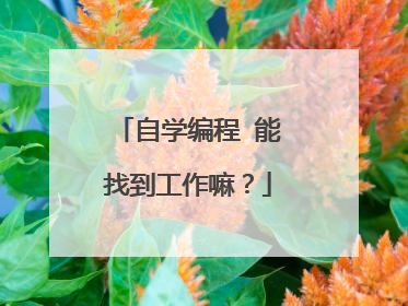 自学编程 能找到工作嘛?