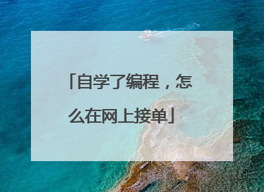 自学了编程，怎么在网上接单