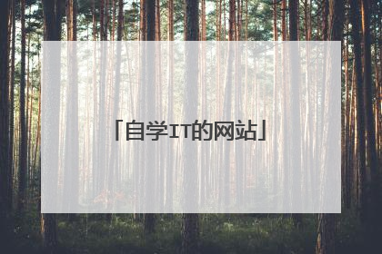 自学IT的网站