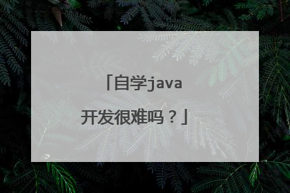 自学java开发很难吗？