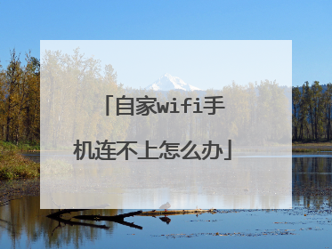自家wifi手机连不上怎么办