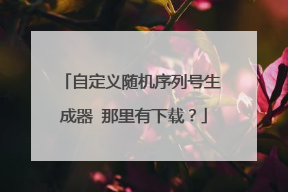 自定义随机序列号生成器 那里有下载?