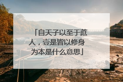 自天子以至于蔗人,壹是皆以修身为本是什么意思
