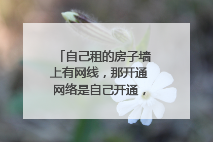自己租的房子墙上有网线,那开通网络是自己开通,还是找房东啊?