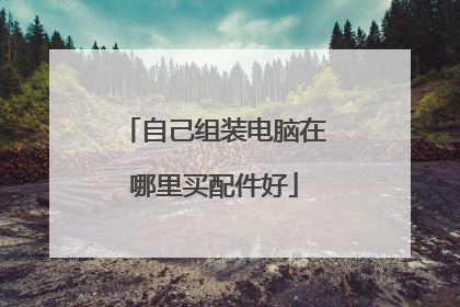 自己组装电脑在哪里买配件好
