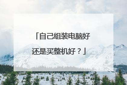 自己组装电脑好还是买整机好？