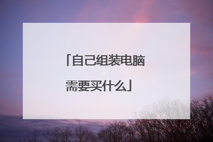 自己组装电脑需要买什么