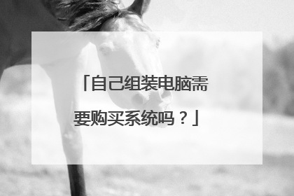 自己组装电脑需要购买系统吗？