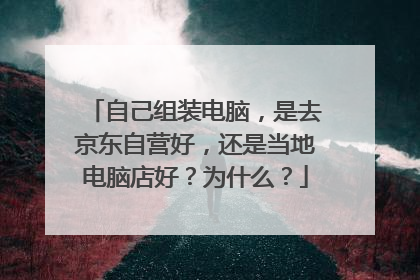 自己组装电脑,是去京东自营好,还是当地电脑店好?为什么?