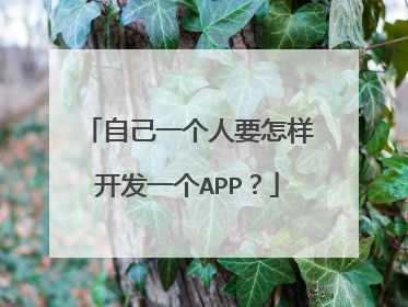 自己一个人要怎样开发一个APP?