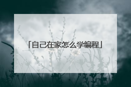 自己在家怎么学编程