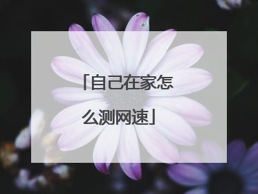 自己在家怎么测网速