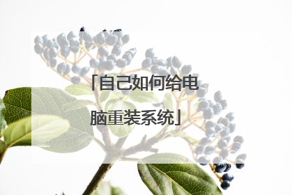 自己如何给电脑重装系统