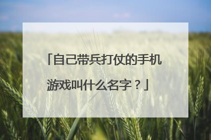 自己带兵打仗的手机游戏叫什么名字?