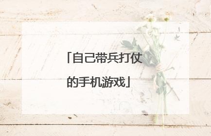 自己带兵打仗的手机游戏