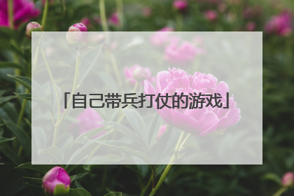 自己带兵打仗的游戏
