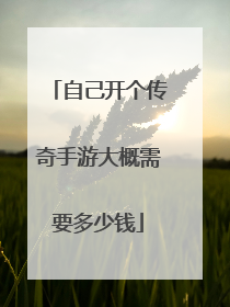 自己开个传奇手游大概需要多少钱