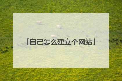 自己怎么建立个网站