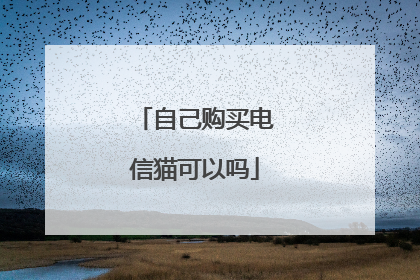 自己购买电信猫可以吗