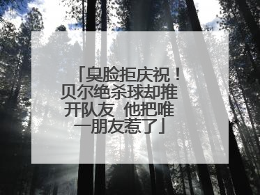 臭脸拒庆祝!贝尔绝杀球却推开队友 他把唯一朋友惹了