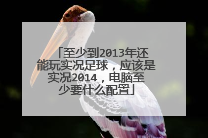 至少到2013年还能玩实况足球,应该是实况2014,电脑至少要什么配置