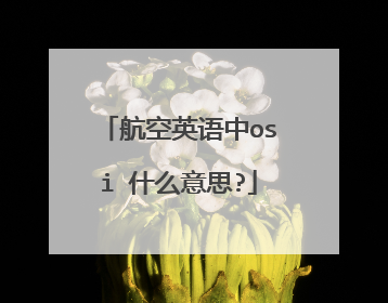 航空英语中osi 什么意思?