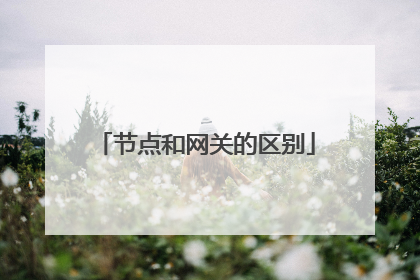 节点和网关的区别