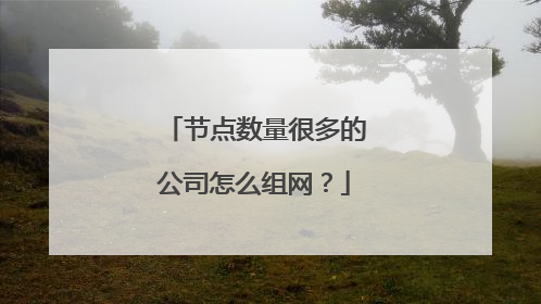 节点数量很多的公司怎么组网？