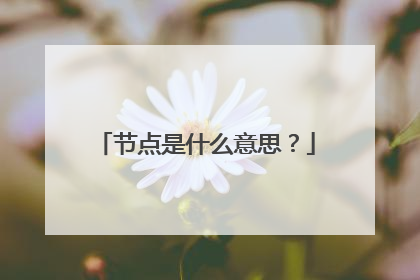 节点是什么意思?