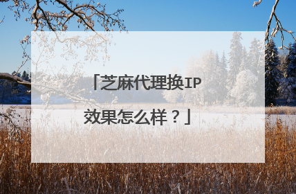 芝麻代理换IP效果怎么样?