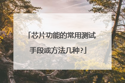 芯片功能的常用测试手段或方法几种?