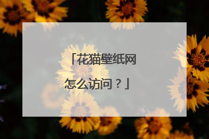 花猫壁纸网怎么访问?