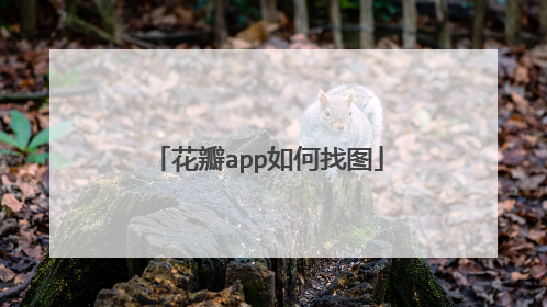 花瓣app如何找图
