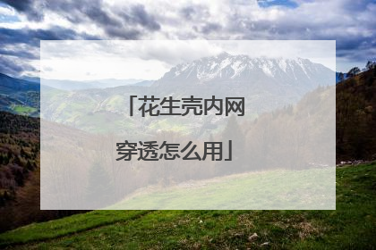 花生壳内网穿透怎么用