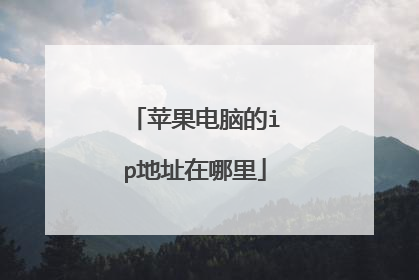 苹果电脑的ip地址在哪里