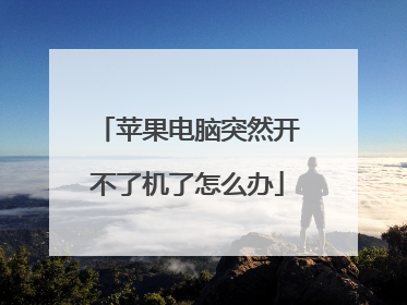 苹果电脑突然开不了机了怎么办