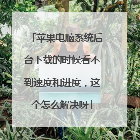 苹果电脑系统后台下载的时候看不到速度和进度,这个怎么解决呀