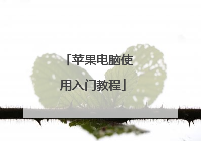 苹果电脑使用入门教程