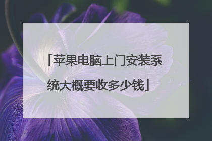 苹果电脑上门安装系统大概要收多少钱