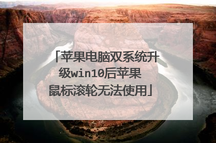 苹果电脑双系统升级win10后苹果鼠标滚轮无法使用