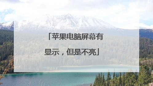 苹果电脑屏幕有显示,但是不亮