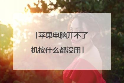 苹果电脑开不了机按什么都没用