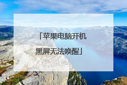 苹果电脑开机黑屏无法唤醒