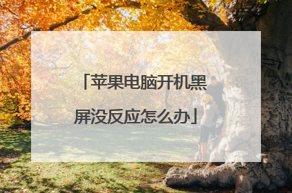 苹果电脑开机黑屏没反应怎么办