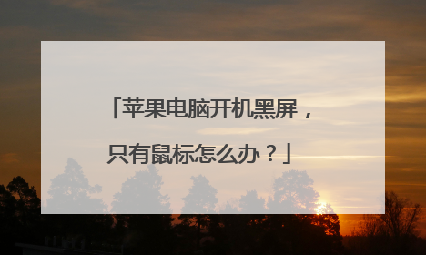苹果电脑开机黑屏,只有鼠标怎么办?