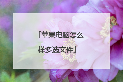 苹果电脑怎么样多选文件