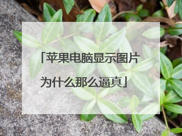 苹果电脑显示图片为什么那么逼真